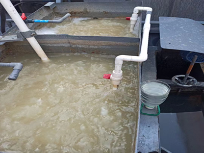 一體化污水處理設備 一體化污水處理設備